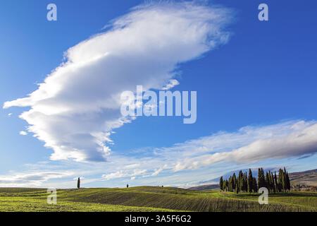 Bizarre cumulus clouds lit by the sunset. Huge sky over picturesque hills. Italy. The magical beauty of the province of Tuscany. Sunny day at the begi Stock Photo