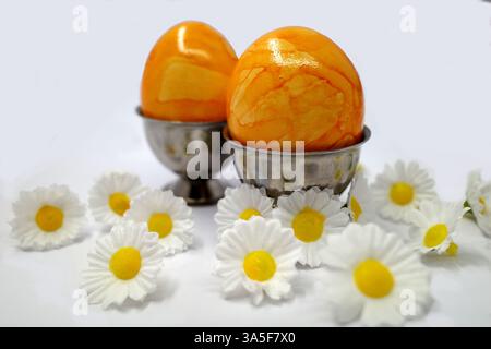 Two yellow colored hard boiled eggs in steel egg cups. Easter breakfast with a decoration of artificial daisies Stock Photo