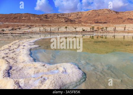 The evaporated salt acts over a water surface beautiful patterns ...