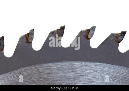 Carbide teeth of circular saw close-up isolated on white background Stock Photo