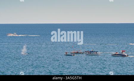 Cabo San Lucas, Baja California Sur, Mexico - 14 January 2024: Small boats with tourists watching a whale surface in the bay of Cabo San Lucas Stock Photo