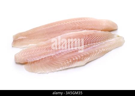 basa fish fillets isolated on white background Stock Photo