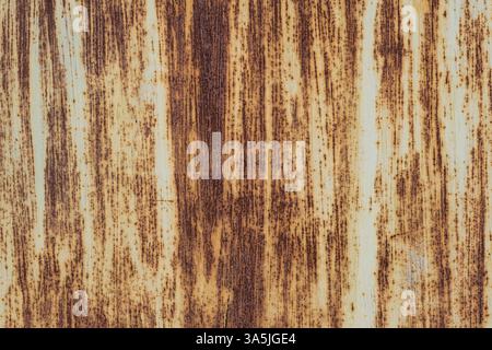 Background with rusty iron texture. Texture sheet painted metal Stock Photo