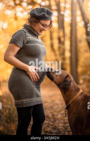 pregnant woman and Rhodesian Ridgeback Stock Photo - Alamy