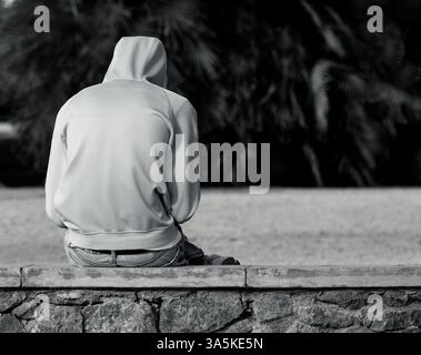 Young man in a light blue hoodie with the hood up, sitting on a stone ledge in a park, facing away from the camera, surrounded by green foliage. Stock Photo