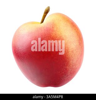 Nectarine peach isolated on white background Stock Photo