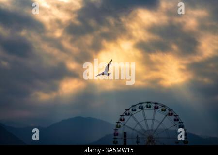Majestic Bird in Flight at Sunset Over Amusement Park Stock Photo