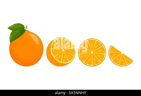 Orange fruit. Oranges that are segmented on a white background, juicy seasonal fruits, citrus. Vector illustration. Stock Vector