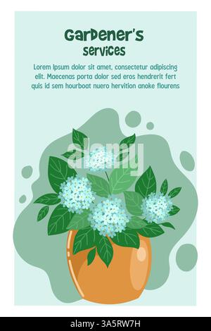Advertising flyer, gardeners services. Pot of blue hydrangea vector illustration Stock Vector
