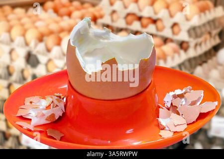 Eierkrise, Eierbecher mit leerer Eierschale, Eierverkauf vor Ostern, hohe Eierpreise, Eiermangel, Symbolfoto, München, März 2025 Deutschland, März 2025, Eierknappheit, Symbolfoto, leere Eierschalen im Eierbecher, hohe Eierpreise, Eierverkauf, Katons mit Eiern im Hintergrund, Eiermangel, Eierkrise, *** Egg crisis, egg cup with empty egg shell, egg sale before Easter, high egg prices, egg shortage, symbolic photo, Munich, March 2025 Germany, March 2025, egg shortage, symbolic photo, empty egg shells in egg cup, high egg prices, egg sale, catons with eggs in the background, egg shortage, egg cris Stock Photo