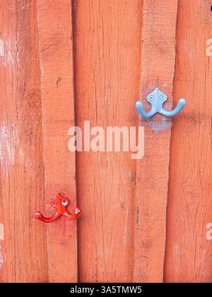 Two colorful hooks on a rustic wooden door, one red and one blue, creating a playful contrast against the weathered orange wood surface. Stock Photo