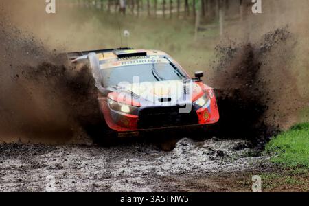 EVANS Elfyn, Toyota GR Yaris Rally1, portrait during the 2025 Rally de ...