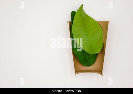 Half of disposable paper cup isolated. Natural eco-friendly disposable utensils. Sustainable disposable tableware made of leaves. Stock Photo