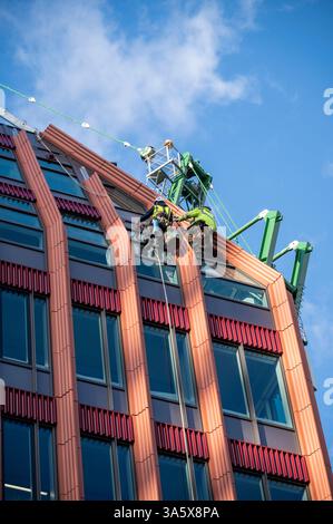 Two specialist male window fitters wearing safety harnesses,  fitting windows on tall building, Birmingham, UK Stock Photo