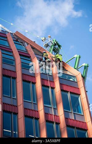 Two specialist male window fitters wearing safety harnesses,  fitting windows on tall building, Birmingham, UK Stock Photo