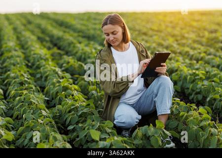Female farmer uses digital tablet for analyse and check soybeans plants at field. Modern agribusiness. Agronomist controls growth and development of s Stock Photo