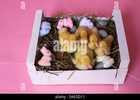 Easter decorated interior with colorfull eggs and ducklings. High quality photo Stock Photo