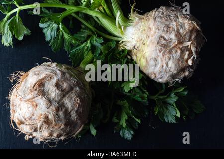 Fresh celery root with green leaves on dark background. Stock Photo