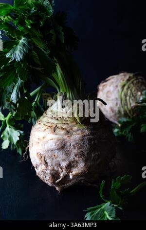 Fresh celery root with green leaves on dark background. Stock Photo