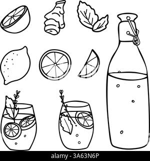 Lemonade Set. Bottle, Glasses, Fruit and Cut Citrus Slices, Ginger root. Summer refreshment beverage with Lemon and mint. Hand drawn vector Stock Vector