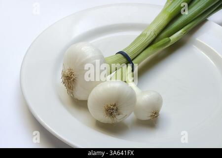 Onion, spring onions on a plate Stock Photo