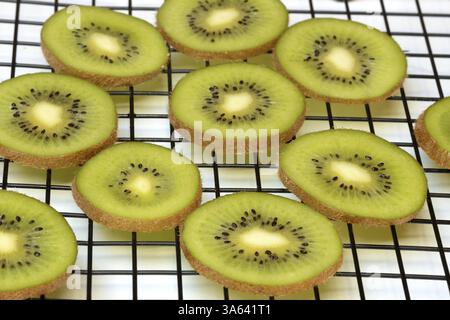 Kiwi slices laid out on a wire rack to dry, Actinidia deliciosa Stock Photo