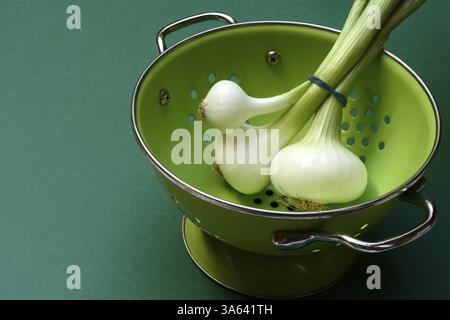 Onion, spring onions in sieve pot Stock Photo
