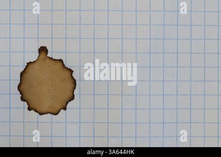 Checkered sheet of paper from a notebook and coffee stain Stock Photo