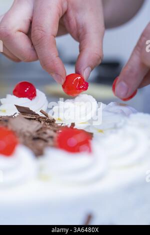 Hands decorating cream cake with cherries on white cream and chocolate, cake baking, Haselstaller Hof Cafe Kuh, Wildberg, Black Forest, Germany, Europ Stock Photo