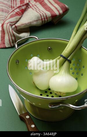 Onion, spring onions in sieve pot Stock Photo