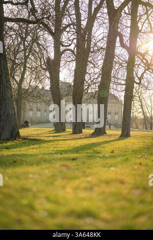 Light and shadow from trees falling on a quiet park next to the building, Domaene Monrepos, Ludwigsburg, Germany, Europe Stock Photo
