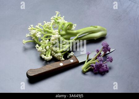 Fioretto, a cross between cauliflower and broccoli. The flowers are reminiscent of coral, vegetables Stock Photo