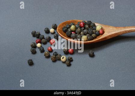 Pepper, various peppercorns in a wooden spoon Stock Photo