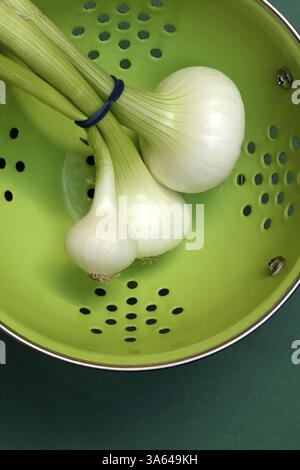 Onion, spring onions in sieve pot Stock Photo