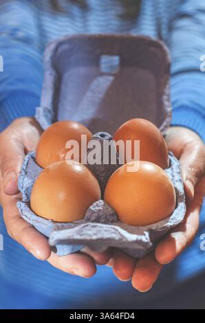 Blue color packing eggs Stock Photo