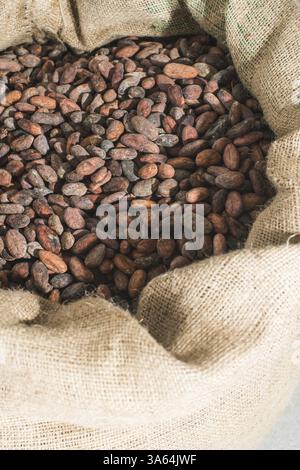 Hand holds cocoa beans in a bag Stock Photo