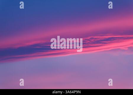 Dreamscape - a thin layer of clouds floats above light blue sky. Pink and blue hues mix into light purples in soft elongated dragon tail clouds. Stock Photo