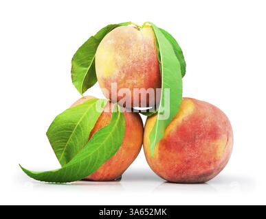 Peaches and leaf white isolated Stock Photo