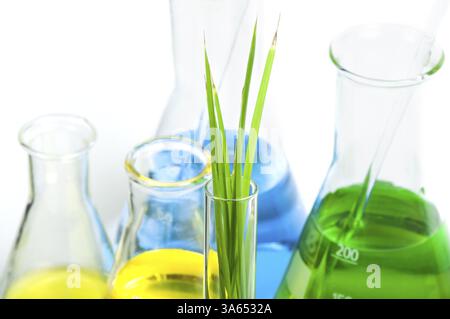 Green plants in laboratory equipment on white background Stock Photo