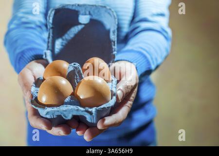 Blue color packing eggs Stock Photo