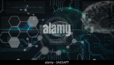 Image of data processing and human brains on black background Stock Photo