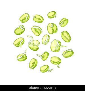 Mung sprouts set. Simple sprouting seed drawing. Vector green beans isolated on white background. Natural organic protein food Stock Vector