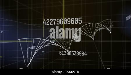 Digital image of multiple changing numbers floating against dna structure spinning Stock Photo