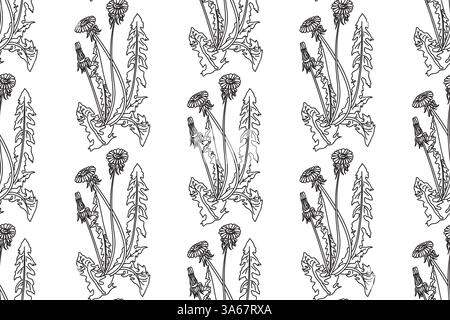 Line art botanical seamless floral pattern with dandelions vector illustration. Black outline repeating plant pattern in white background. Graphic des Stock Vector