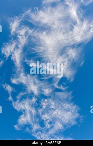 Wispy white cirrus clouds in blue sky background with copy space ...