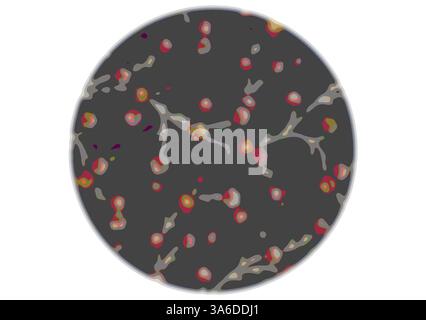 A circular pattern featuring a dark background interspersed with clusters of bright red and orange dots, connected by intricate, pale lines, creating an abstract, organic appearance. Classic art with a modern twist reimagined by Artotop, Transformed French Fabrics, First Half of the Nineteenth Century Stock Photo