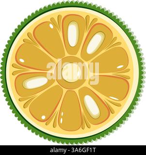 Jackfruit slice botanical vector illustration in flat technique Stock Vector