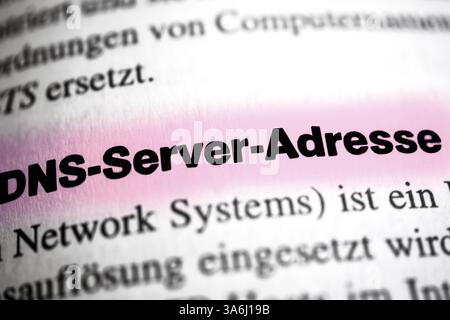 The Domain Name System (DNS) is one of the most important services in many IP-based networks Stock Photo