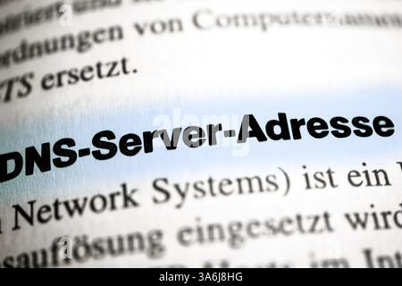 The Domain Name System (DNS) is one of the most important services in many IP-based networks Stock Photo