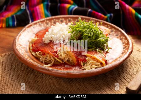 Entomatadas. Also known as Enjitomatadas, a typical dish of Mexican cuisine prepared with corn tortilla, tomato sauce and stuffed with shredded chicke Stock Photo